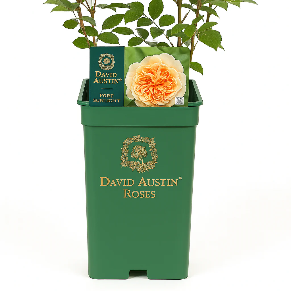 Productafbeelding 10